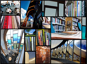 Arc Wk Background 300