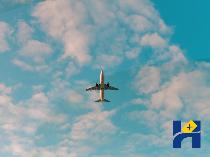 Balot box immigration Henley H