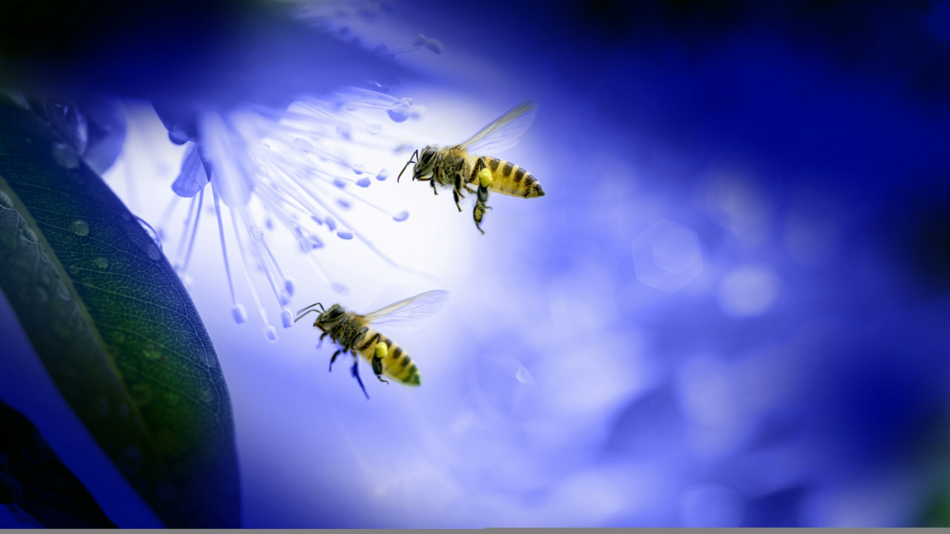 Coaching Podcast hero image