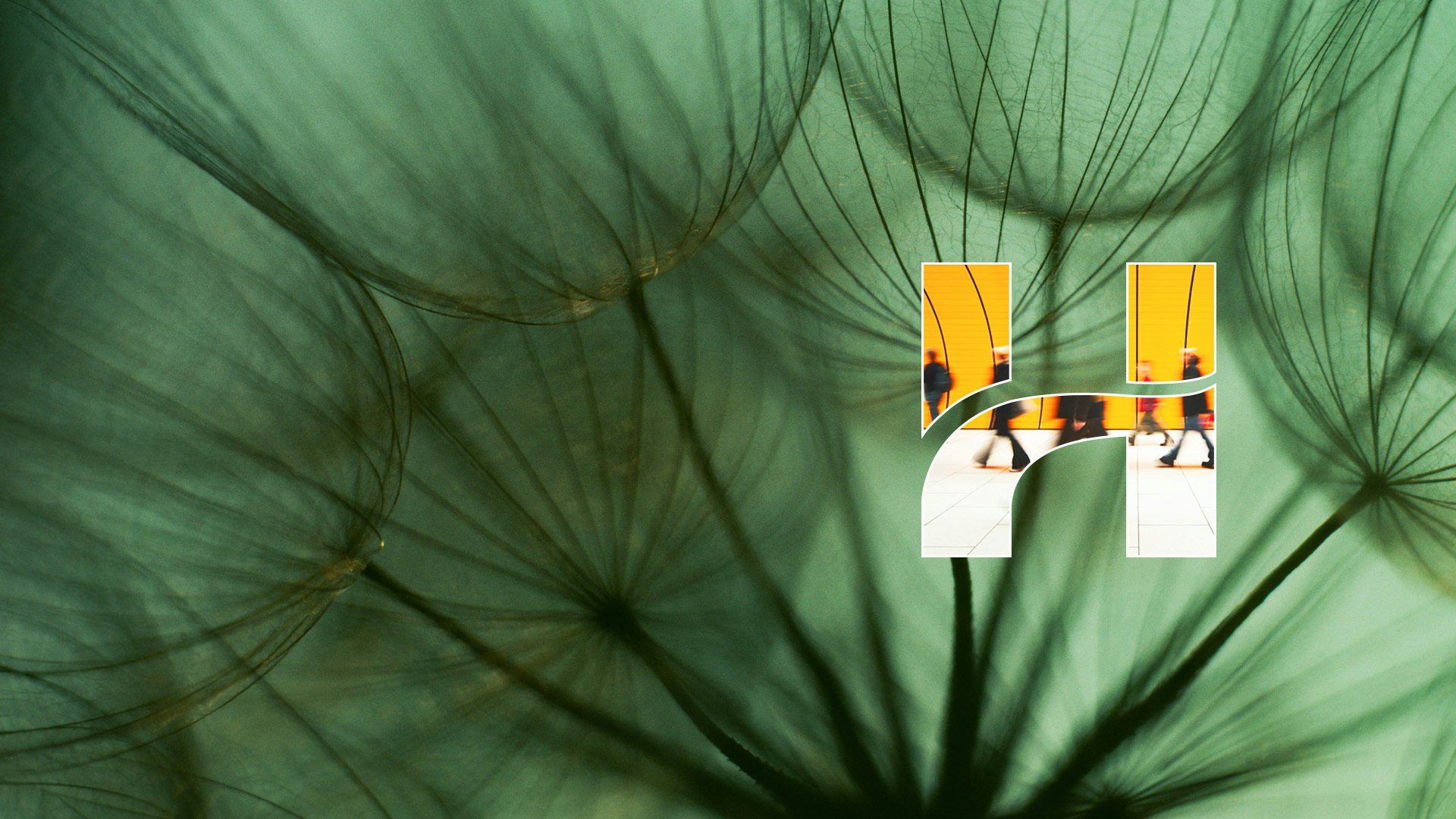 DBA Banner Desktop 1920x1080