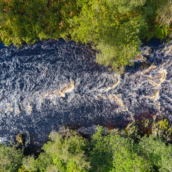 Flexible Executive MBA