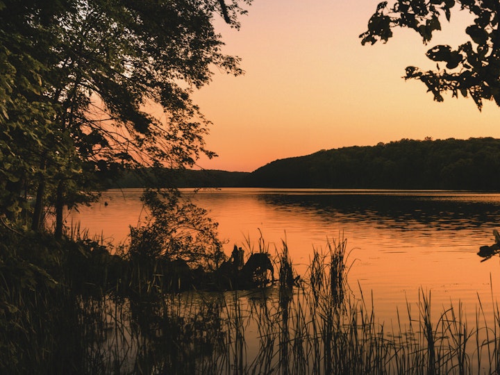 Which is the right apprenticeship programme for you?