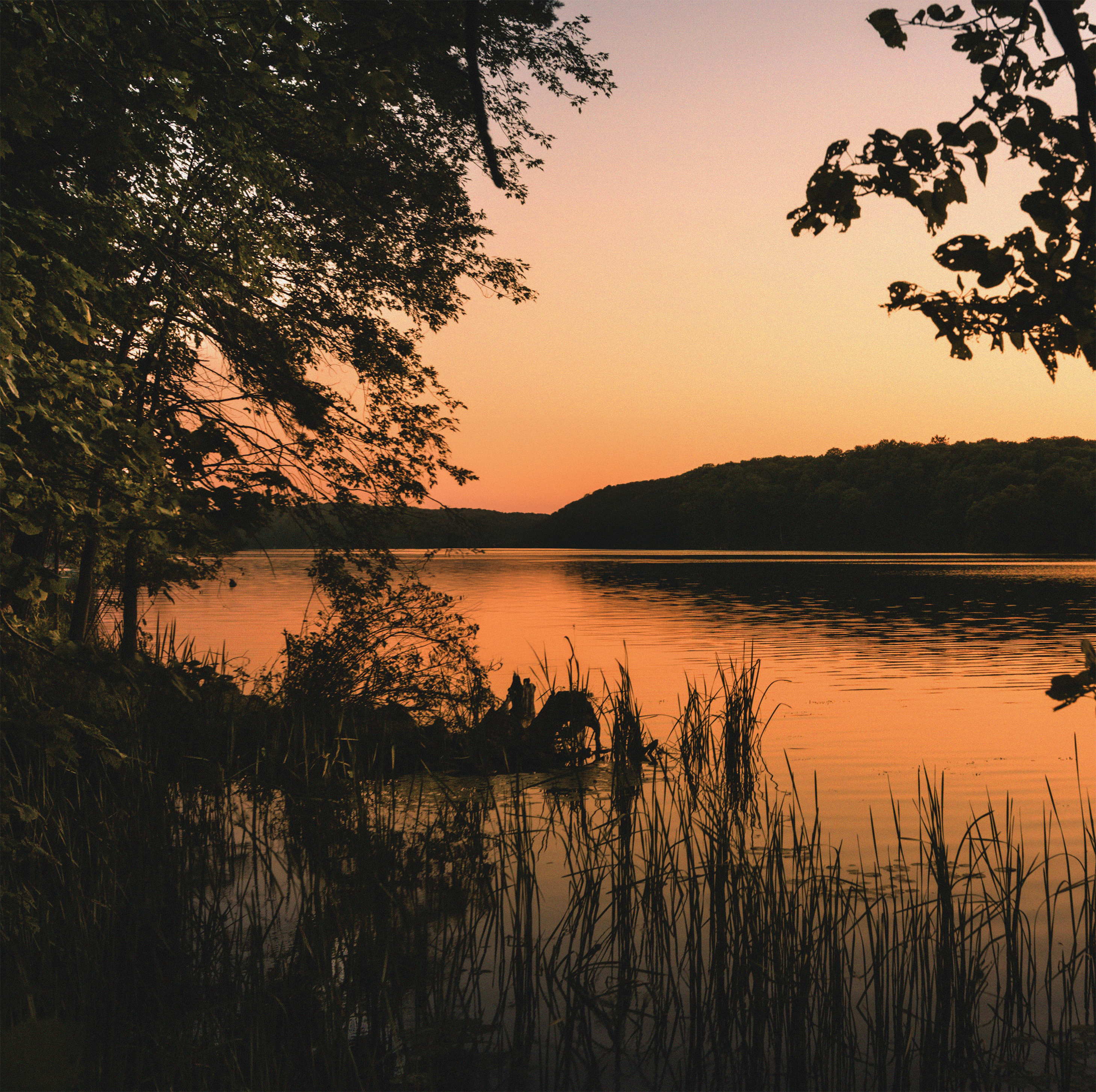 How employers can avoid a skills gap in a post-Level 7 world