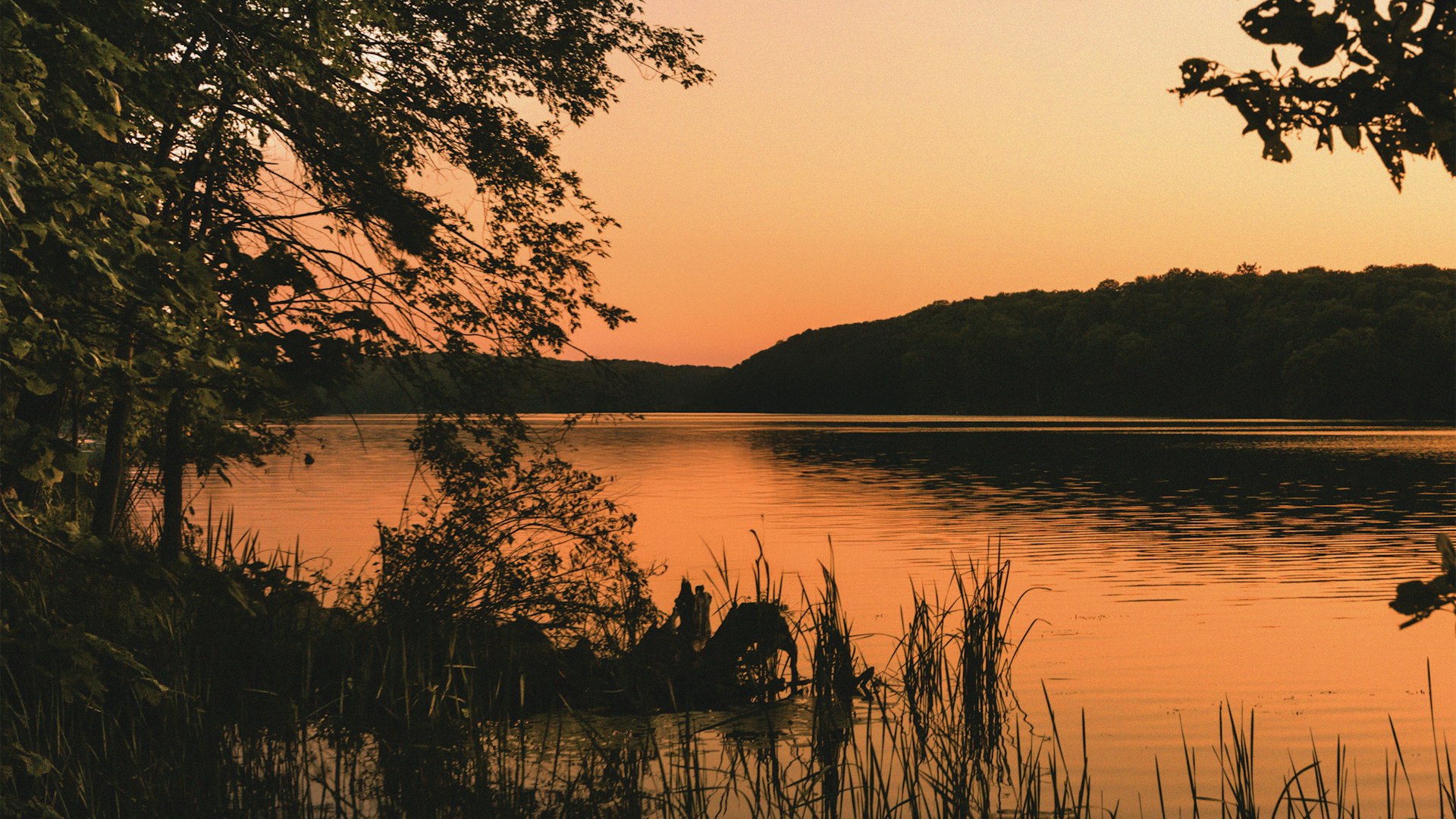 HL059 H Cover London v3 NEW CMYK 200 res