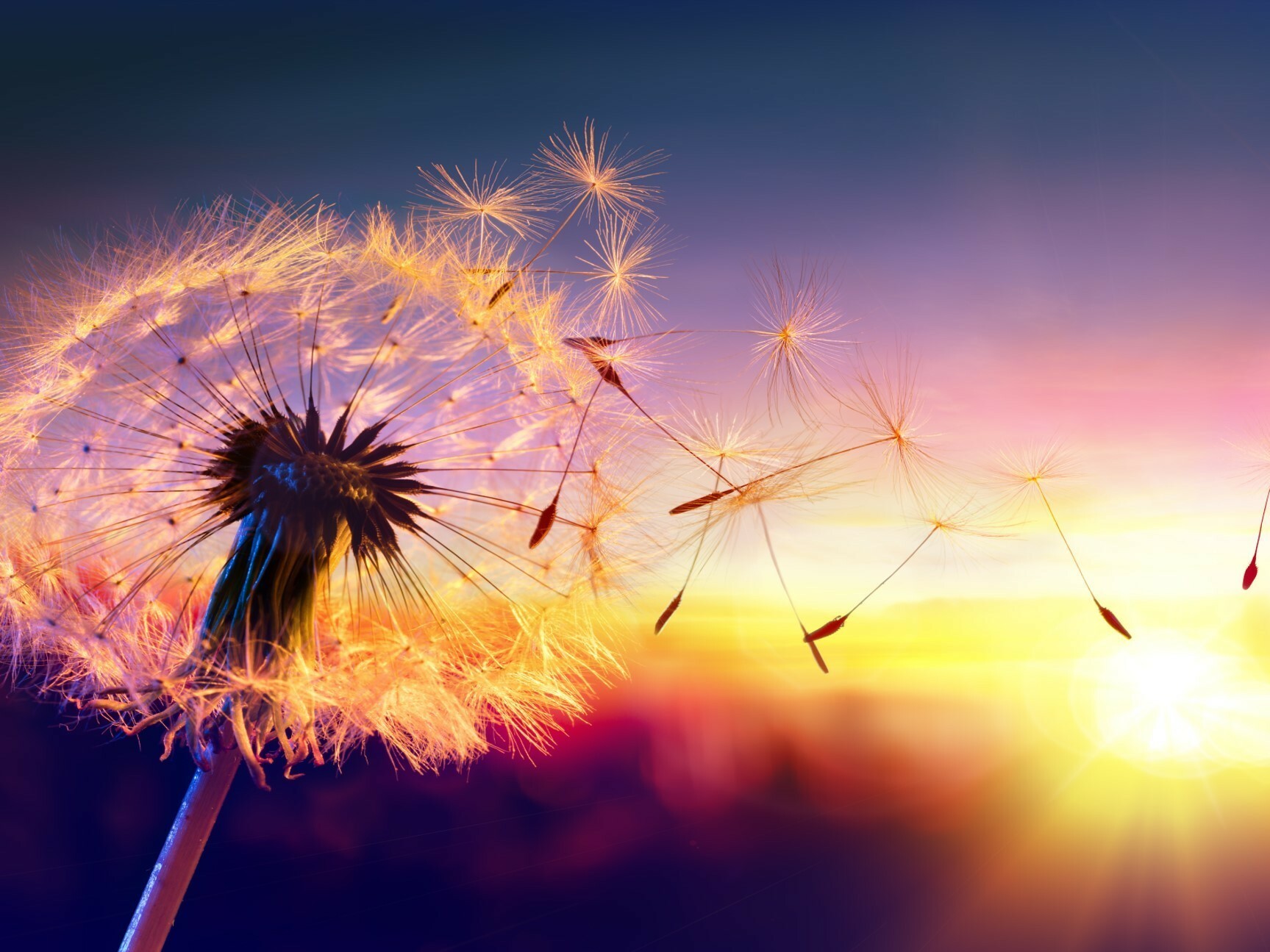 Improvement Leader Apprenticeship 4 3