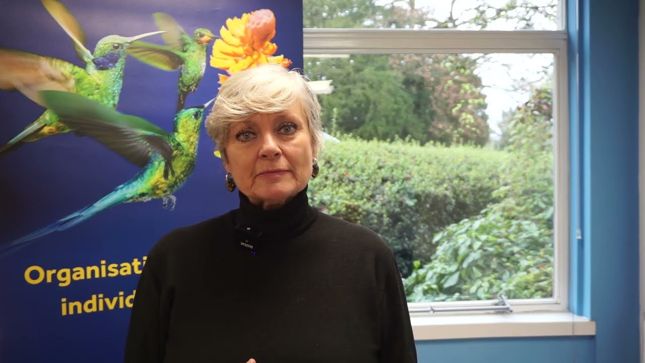 Youtube player placeholder image