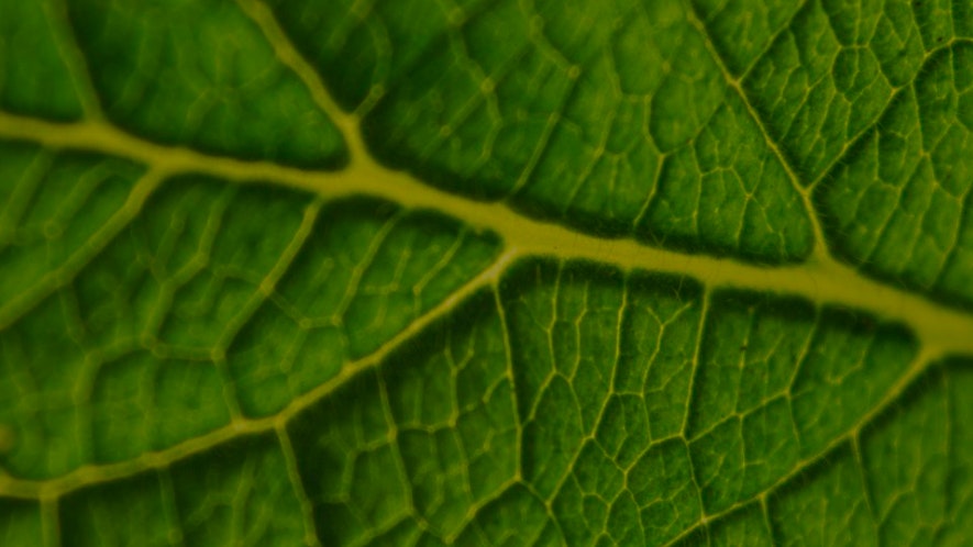 Mobile home banner 3