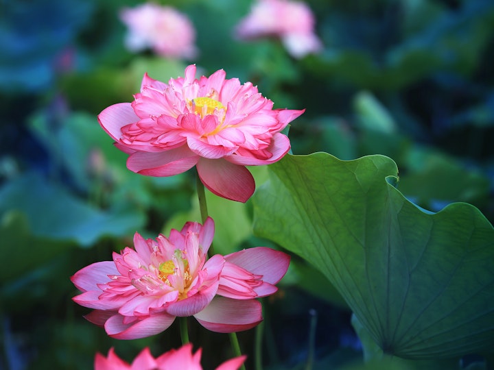 Masters scholarships and funding