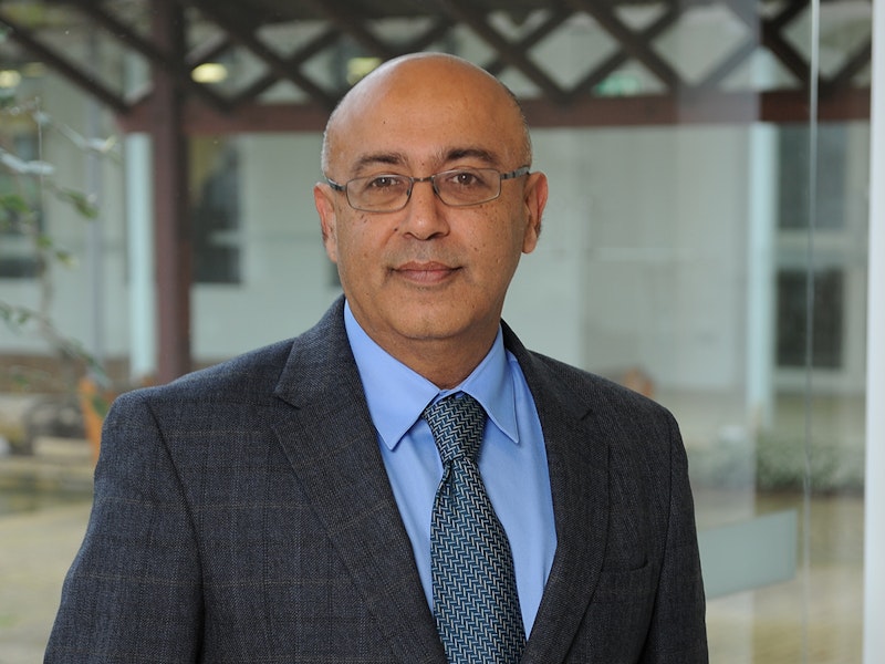 Professor Rajneesh Narula