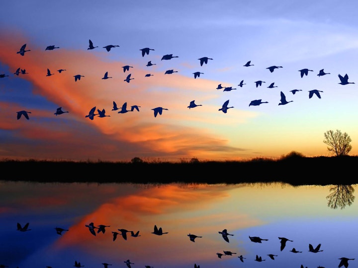 Senior Leader Apprenticeship cropped