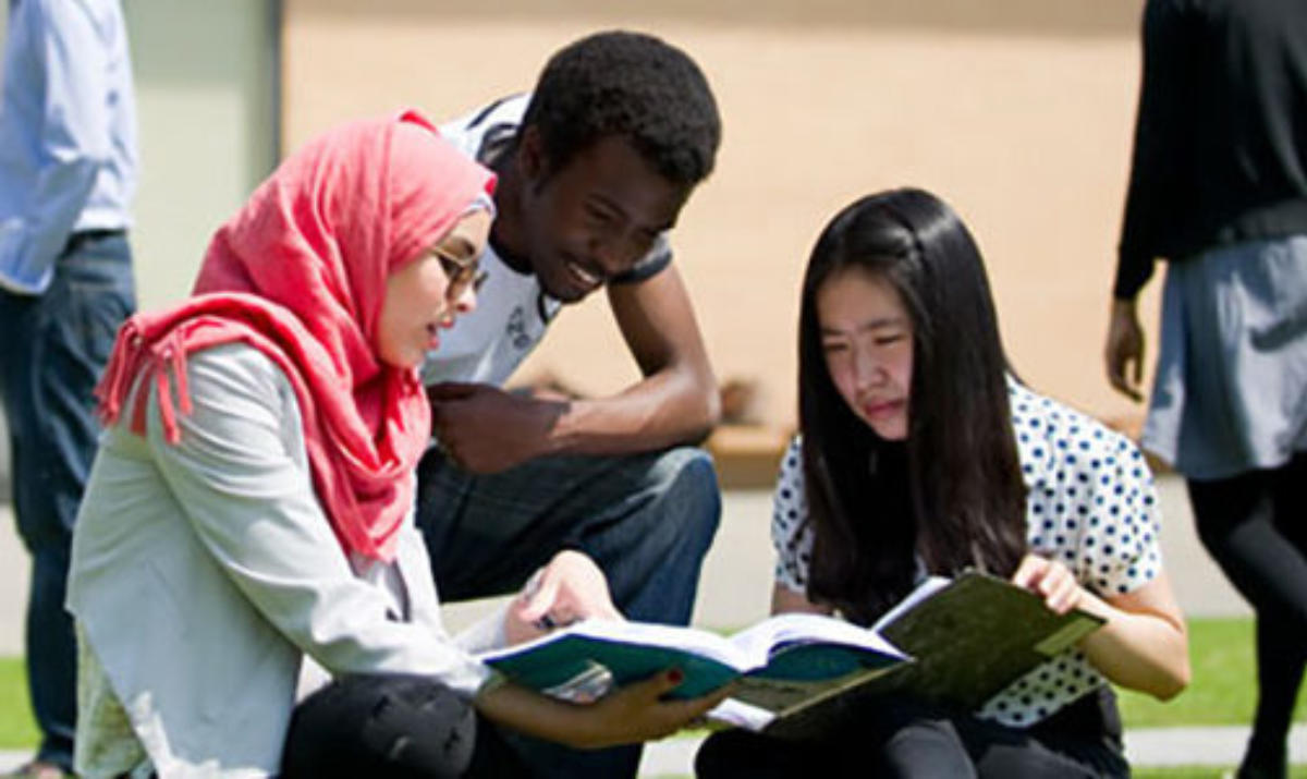 Local and global business education