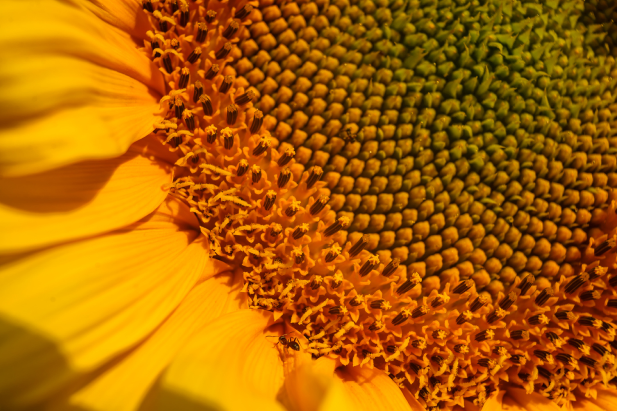 Short course: Building blocks of maths and stats for finance