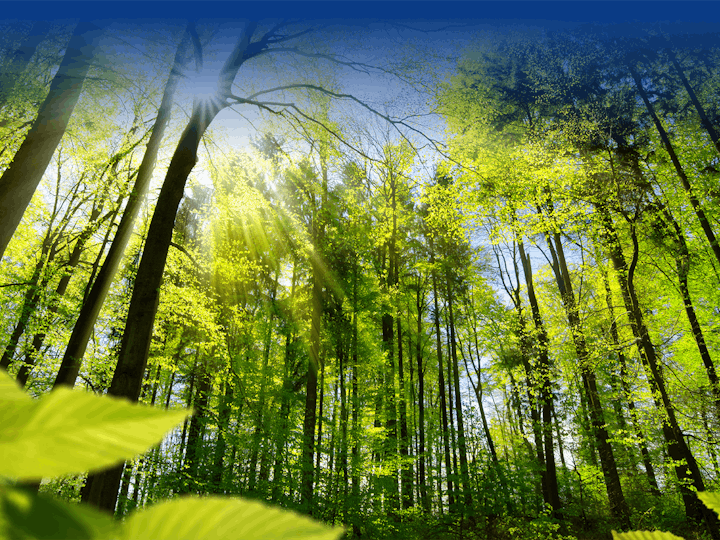 The Henley postgraduate pre-study course suite