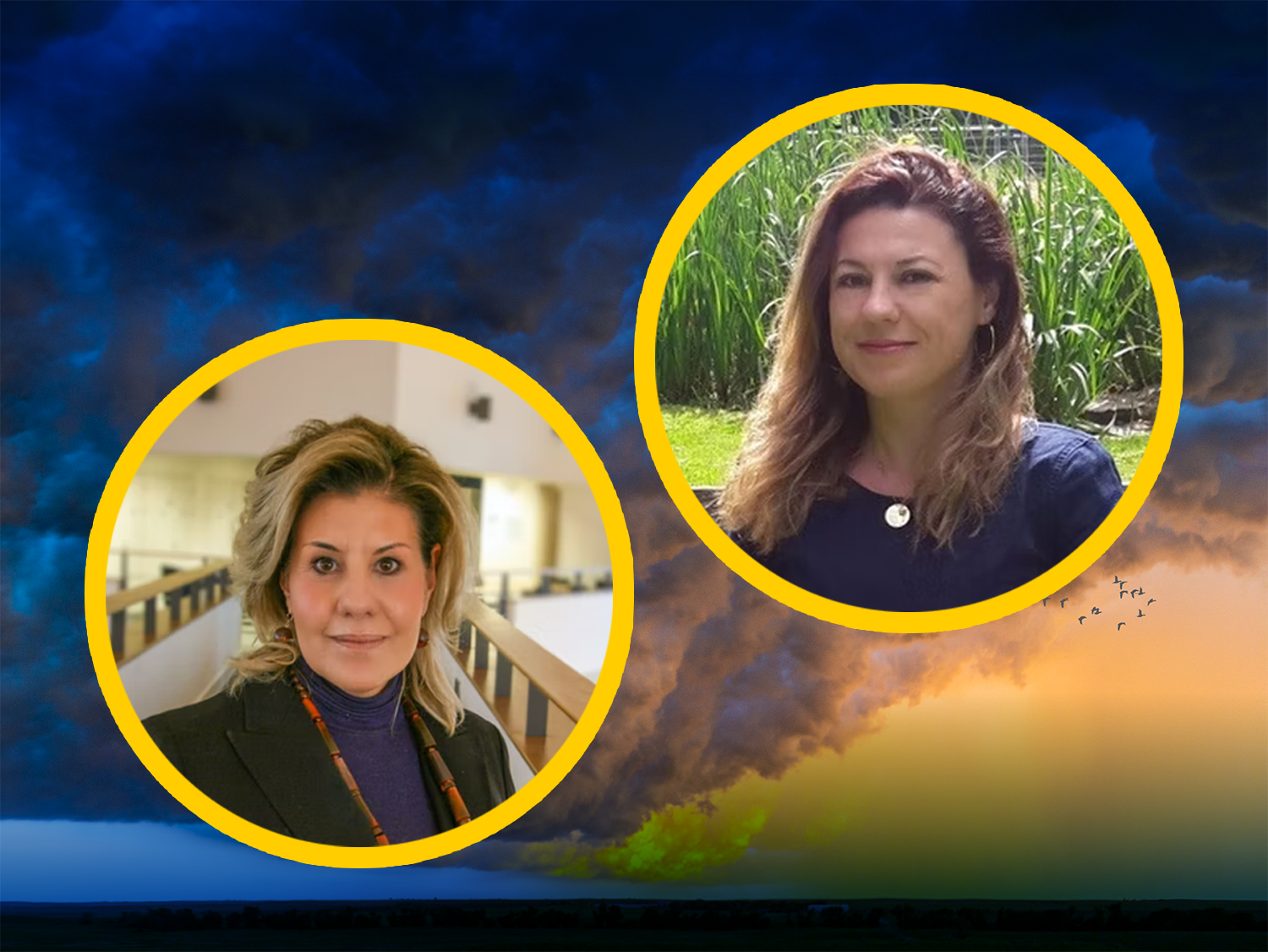 Are psychopath leaders stifling sustainability and business transformation?