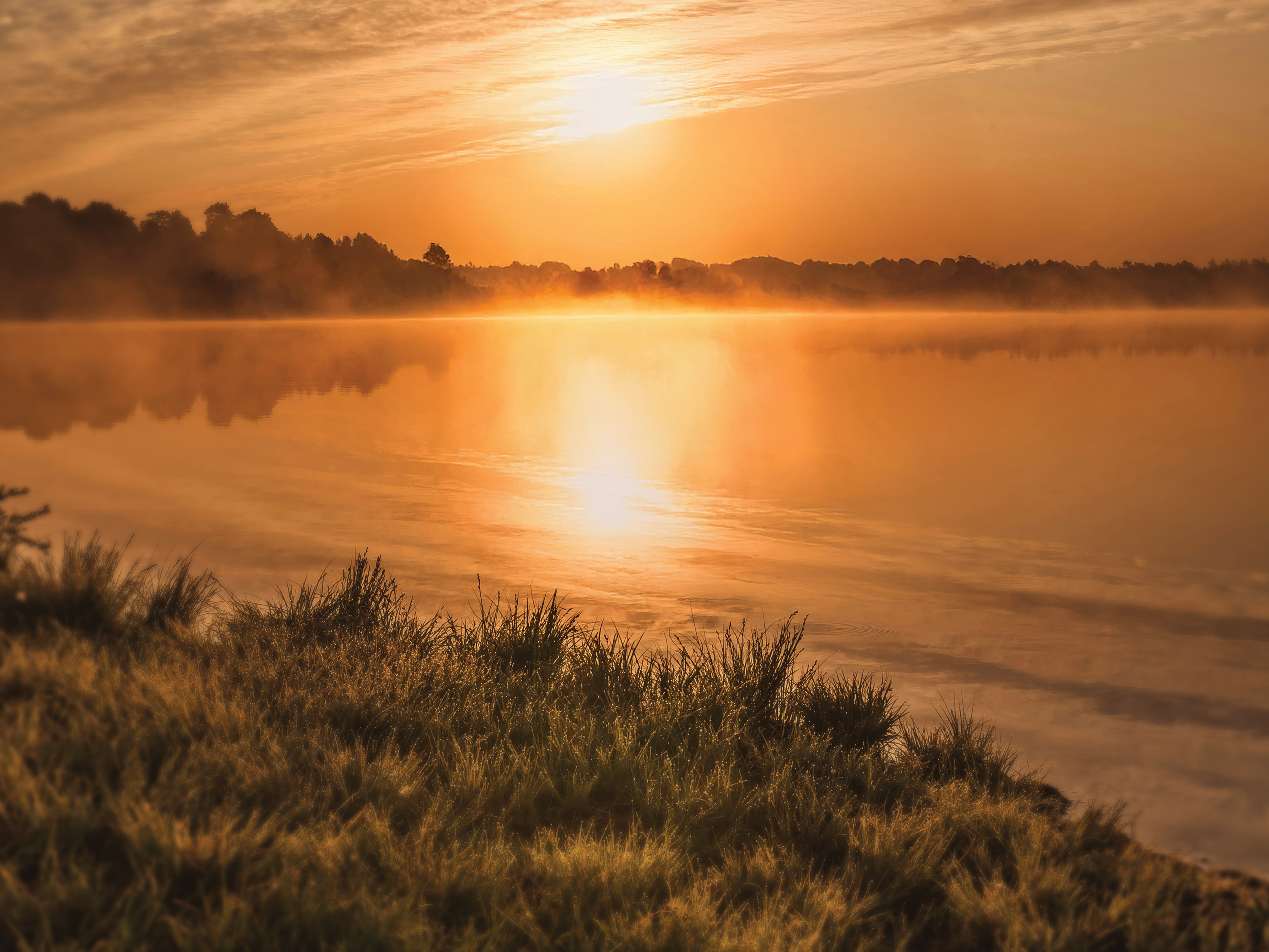 DTSS hero autumn 4 3