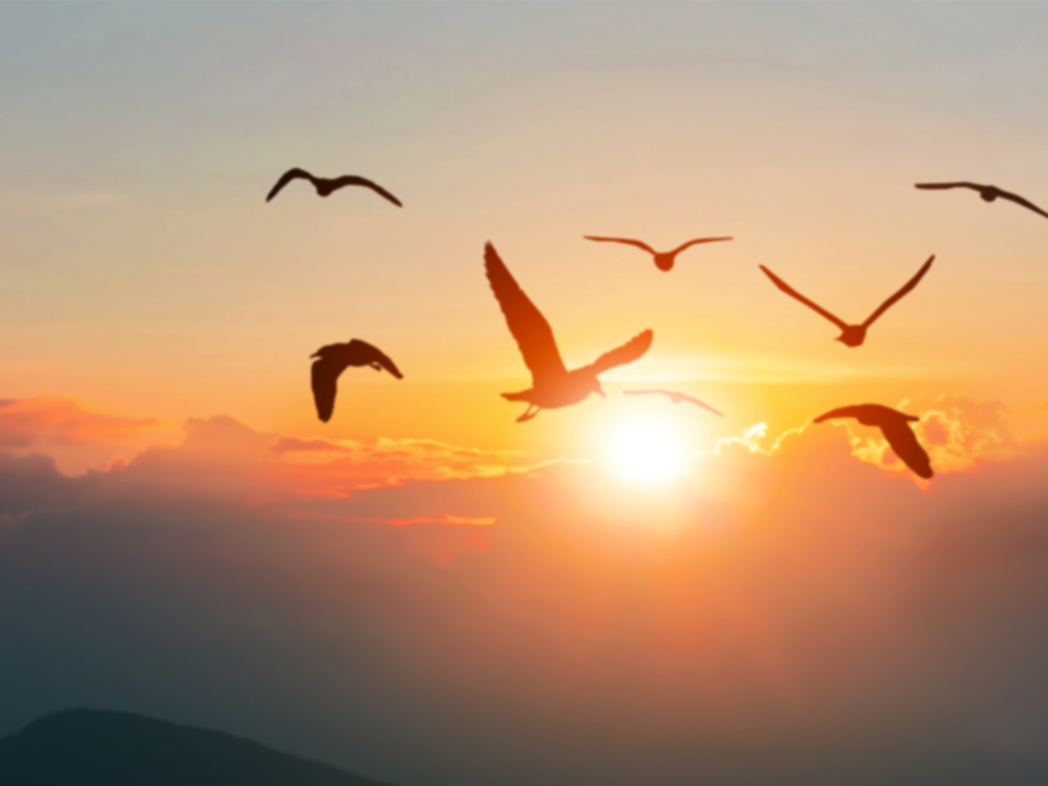 SLABA Hero image 4 3