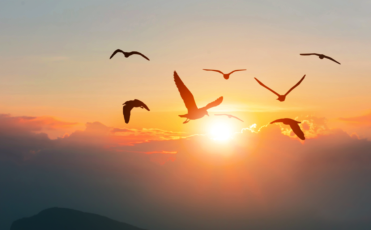 Transform your workforce with Henley’s apprenticeship programmes